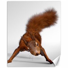 Squirrel Wild Animal Animal World Canvas 11  x 14  