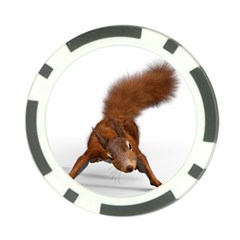 Squirrel Wild Animal Animal World Poker Chip Card Guard