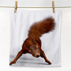 Squirrel Wild Animal Animal World Face Towel by Nexatart