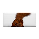 Squirrel Wild Animal Animal World Cosmetic Storage Cases Front