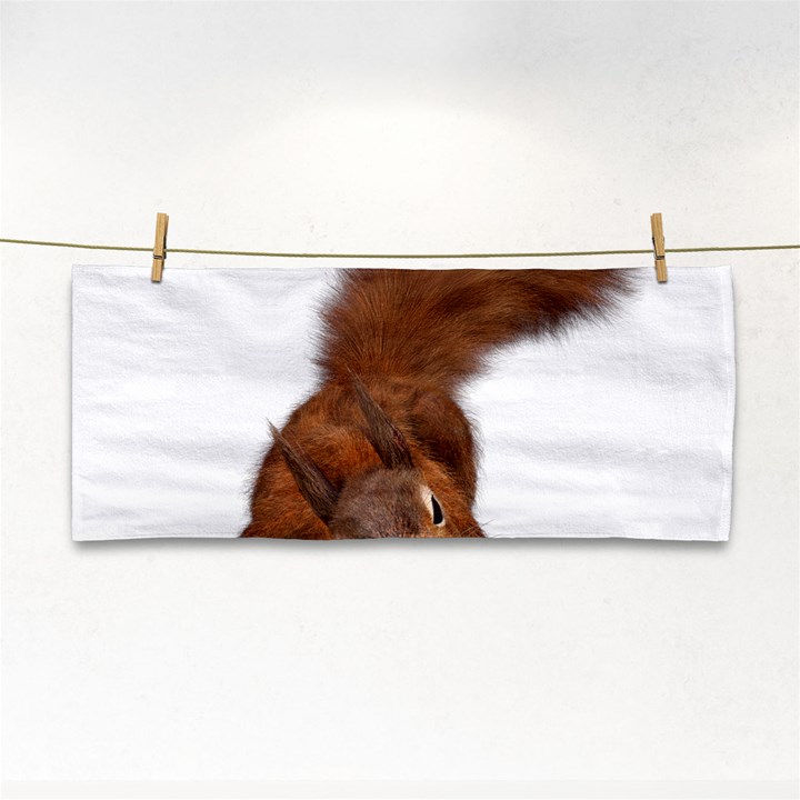 Squirrel Wild Animal Animal World Cosmetic Storage Cases