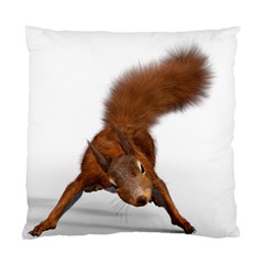 Squirrel Wild Animal Animal World Standard Cushion Case (One Side)