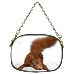 Squirrel Wild Animal Animal World Chain Purses (Two Sides) 