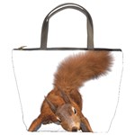 Squirrel Wild Animal Animal World Bucket Bags Front