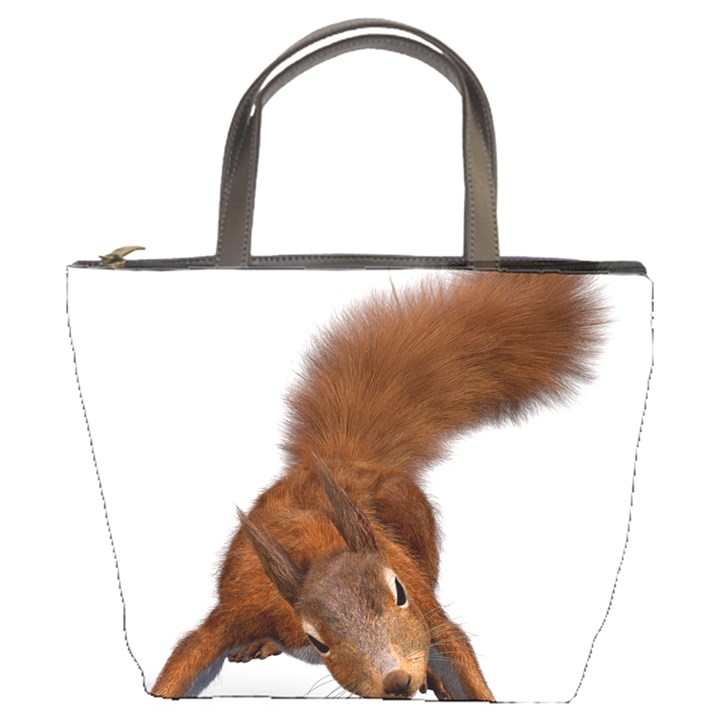 Squirrel Wild Animal Animal World Bucket Bags