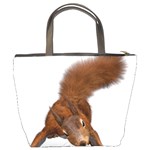 Squirrel Wild Animal Animal World Bucket Bags Back