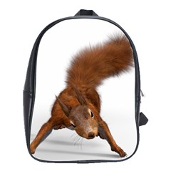 Squirrel Wild Animal Animal World School Bags(Large) 