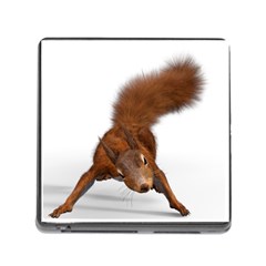 Squirrel Wild Animal Animal World Memory Card Reader (Square)