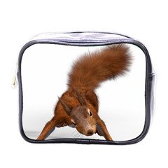 Squirrel Wild Animal Animal World Mini Toiletries Bags