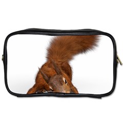 Squirrel Wild Animal Animal World Toiletries Bags