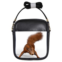 Squirrel Wild Animal Animal World Girls Sling Bags