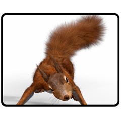 Squirrel Wild Animal Animal World Fleece Blanket (Medium) 