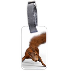 Squirrel Wild Animal Animal World Luggage Tags (One Side) 