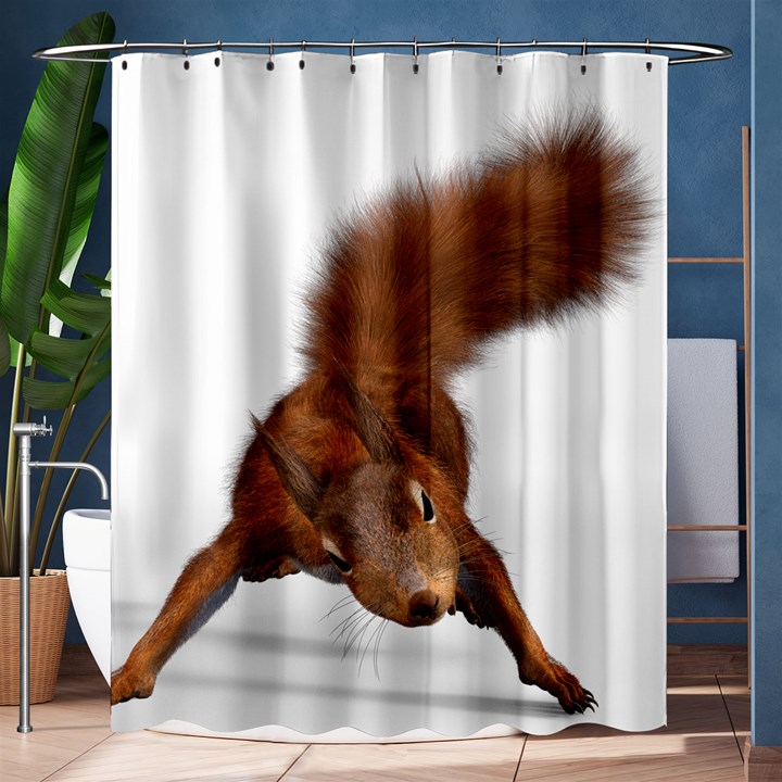 Squirrel Wild Animal Animal World Shower Curtain 60  x 72  (Medium) 