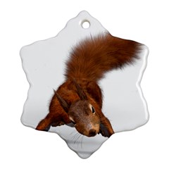 Squirrel Wild Animal Animal World Snowflake Ornament (Two Sides)