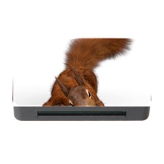 Squirrel Wild Animal Animal World Memory Card Reader with CF