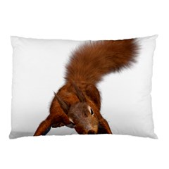 Squirrel Wild Animal Animal World Pillow Case (Two Sides)