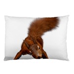 Squirrel Wild Animal Animal World Pillow Case (Two Sides) Front