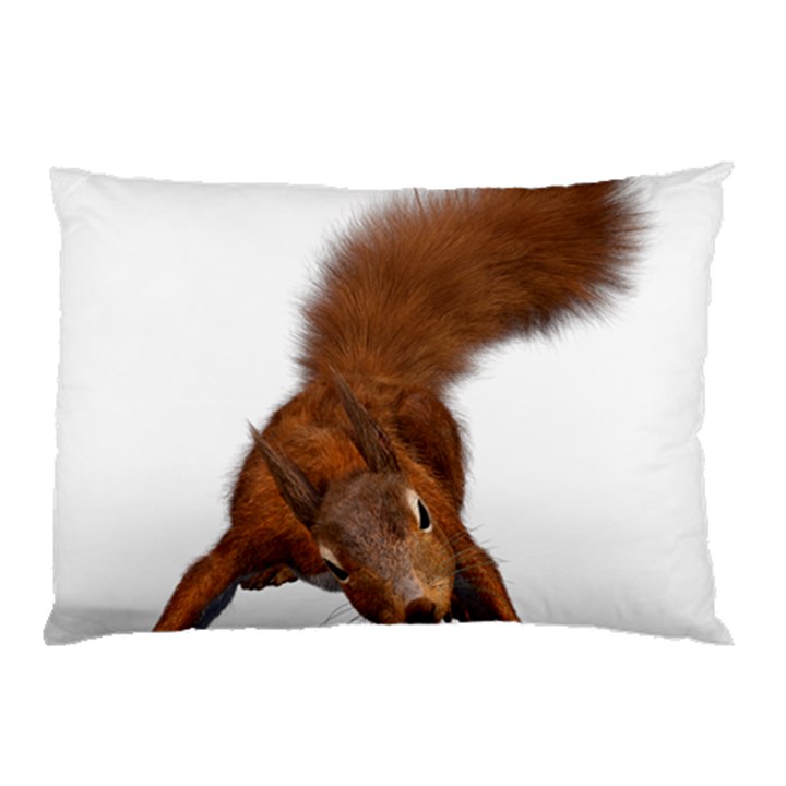 Squirrel Wild Animal Animal World Pillow Case (Two Sides)