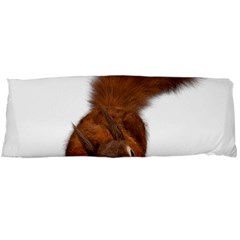 Squirrel Wild Animal Animal World Body Pillow Case (dakimakura) by Nexatart