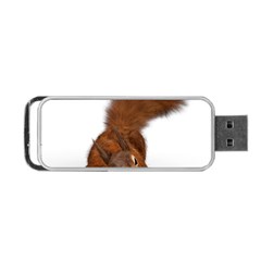 Squirrel Wild Animal Animal World Portable Usb Flash (two Sides) by Nexatart