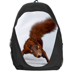 Squirrel Wild Animal Animal World Backpack Bag