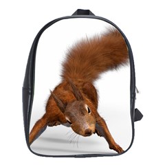 Squirrel Wild Animal Animal World School Bags (xl)  by Nexatart