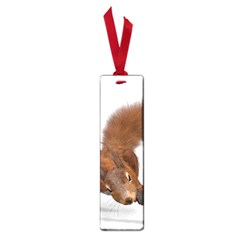 Squirrel Wild Animal Animal World Small Book Marks