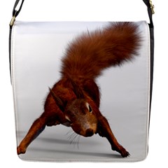 Squirrel Wild Animal Animal World Flap Messenger Bag (s) by Nexatart