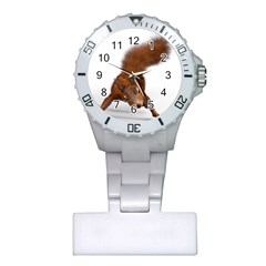 Squirrel Wild Animal Animal World Plastic Nurses Watch by Nexatart