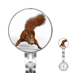 Squirrel Wild Animal Animal World Stainless Steel Nurses Watch by Nexatart