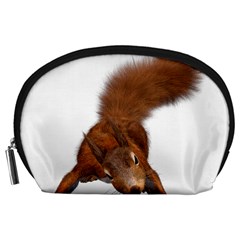 Squirrel Wild Animal Animal World Accessory Pouches (large)  by Nexatart