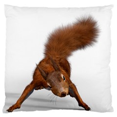 Squirrel Wild Animal Animal World Standard Flano Cushion Case (two Sides) by Nexatart