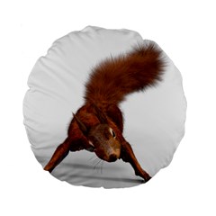 Squirrel Wild Animal Animal World Standard 15  Premium Flano Round Cushions