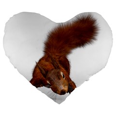 Squirrel Wild Animal Animal World Large 19  Premium Flano Heart Shape Cushions