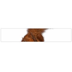 Squirrel Wild Animal Animal World Flano Scarf (large) by Nexatart