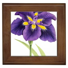 Lily Flower Plant Blossom Bloom Framed Tiles by Nexatart