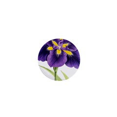 Lily Flower Plant Blossom Bloom 1  Mini Buttons by Nexatart