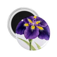 Lily Flower Plant Blossom Bloom 2 25  Magnets by Nexatart