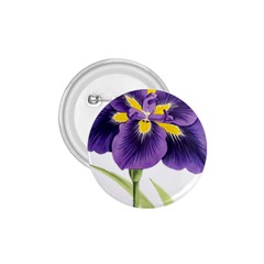 Lily Flower Plant Blossom Bloom 1 75  Buttons by Nexatart