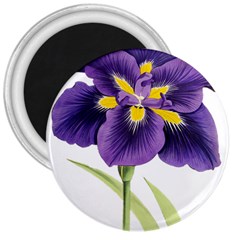 Lily Flower Plant Blossom Bloom 3  Magnets by Nexatart