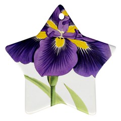 Lily Flower Plant Blossom Bloom Ornament (star) by Nexatart