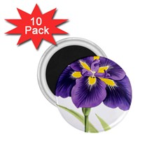 Lily Flower Plant Blossom Bloom 1 75  Magnets (10 Pack)  by Nexatart