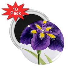 Lily Flower Plant Blossom Bloom 2 25  Magnets (10 Pack)  by Nexatart