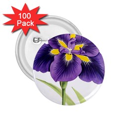 Lily Flower Plant Blossom Bloom 2 25  Buttons (100 Pack)  by Nexatart