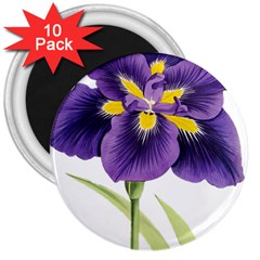 Lily Flower Plant Blossom Bloom 3  Magnets (10 Pack)  by Nexatart