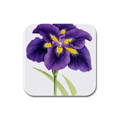 Lily Flower Plant Blossom Bloom Rubber Square Coaster (4 Pack)  by Nexatart