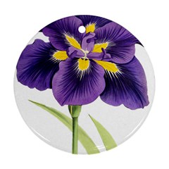 Lily Flower Plant Blossom Bloom Round Ornament (two Sides) by Nexatart