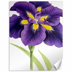 Lily Flower Plant Blossom Bloom Canvas 12  X 16   by Nexatart