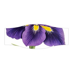 Lily Flower Plant Blossom Bloom Stretchable Headband